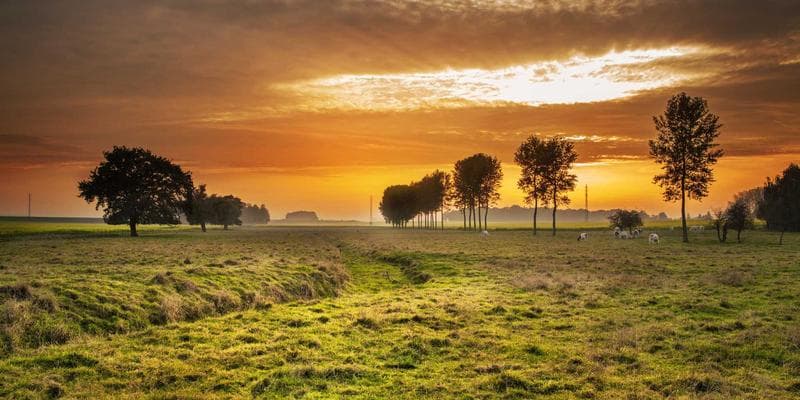 Introducing Our New Product Line — Early Access