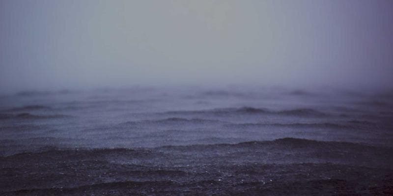 5 Organic Growth Strategies That Actually Work